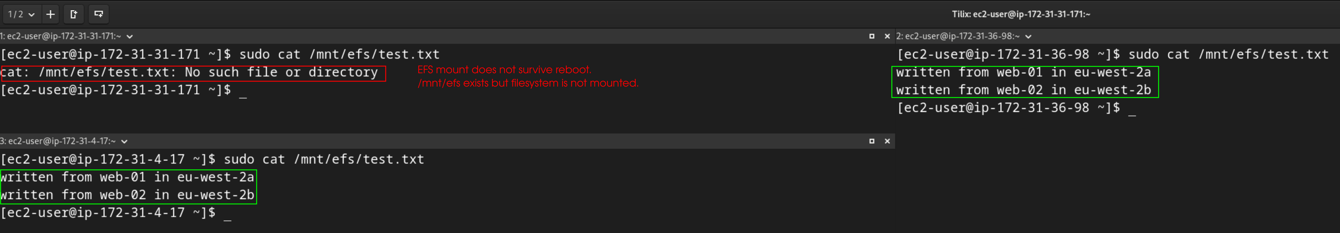 web-01 after reboot showing cat /mnt/efs/test.txt returning No such file or directory