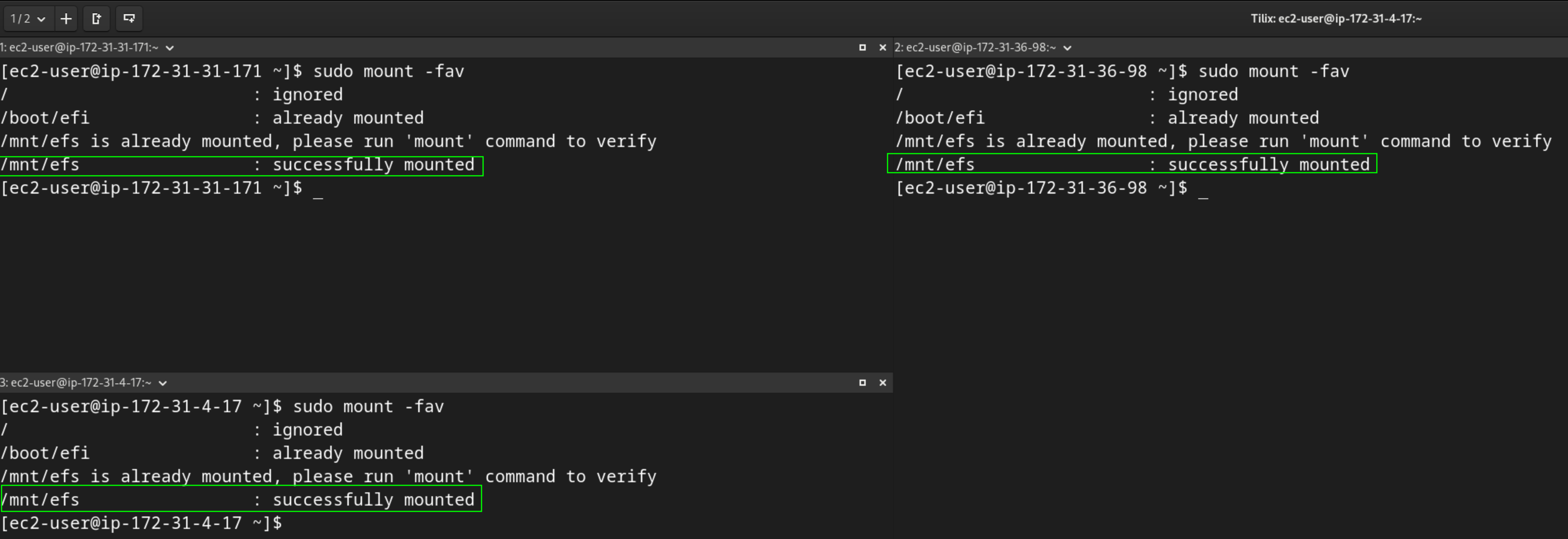 sudo mount -fav output confirming the fstab entry is valid